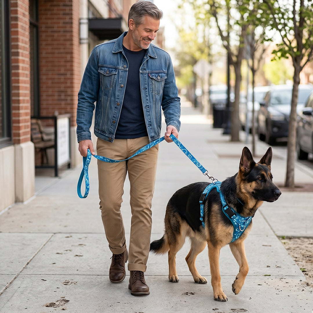 Ocean Wave No-Pull Harness & Leash Set