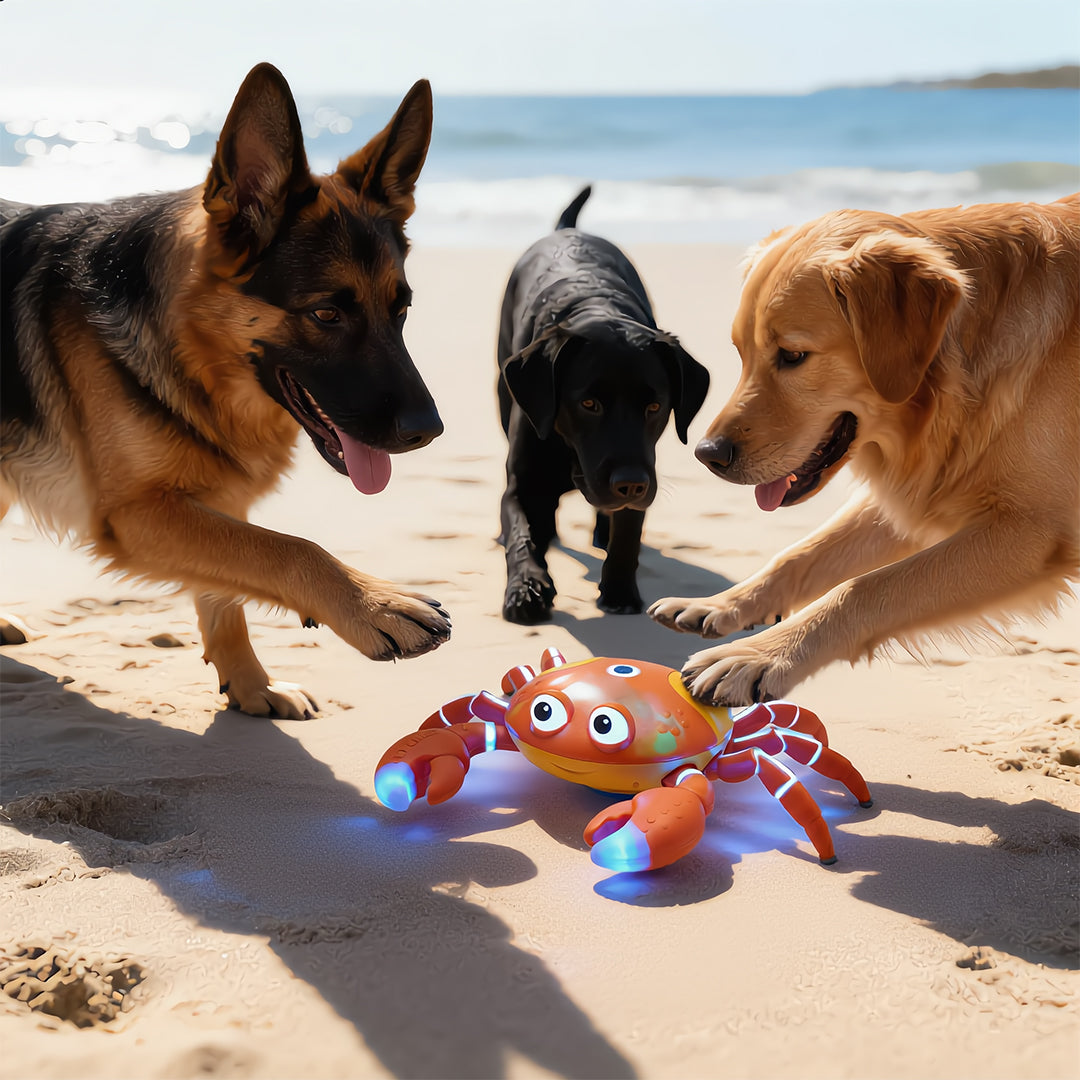 Island Scuttling Crab Interactive Toy