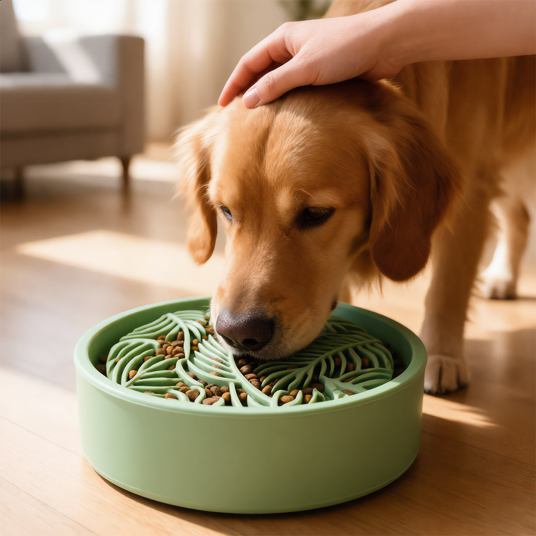 Palm Slow Feeder Bowl