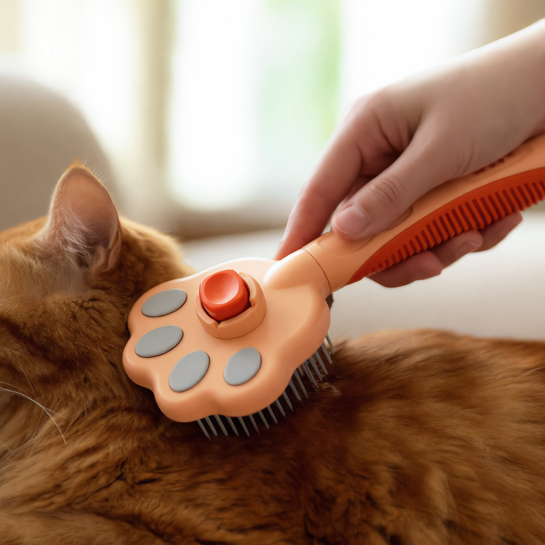 Self-Cleaning Slicker Brush
