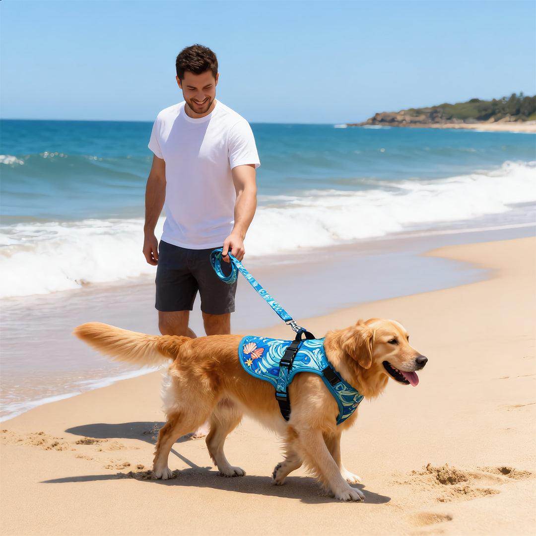 Ocean Wave No-Pull Harness & Leash Set