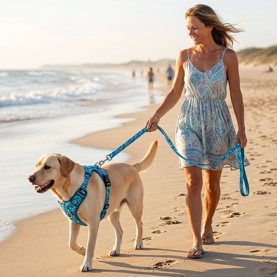 Ocean Wave No-Pull Harness & Leash Set