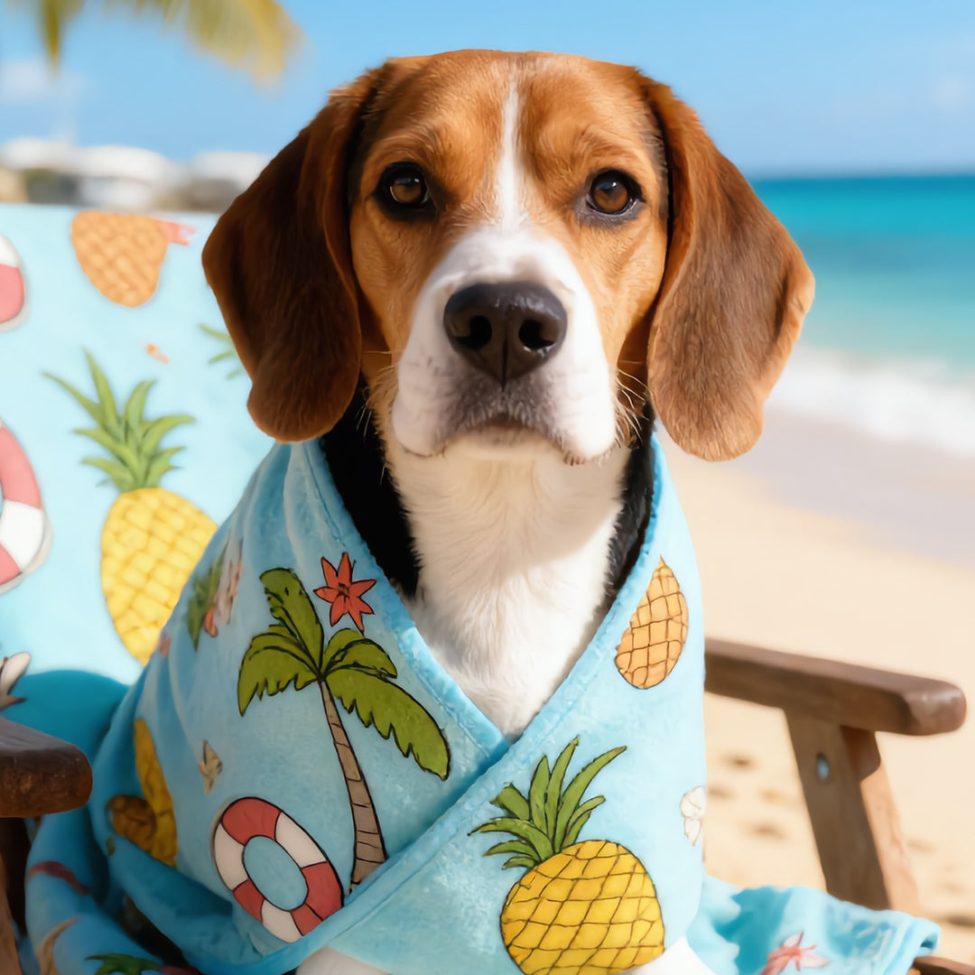 Sea Breeze Microfiber Towel