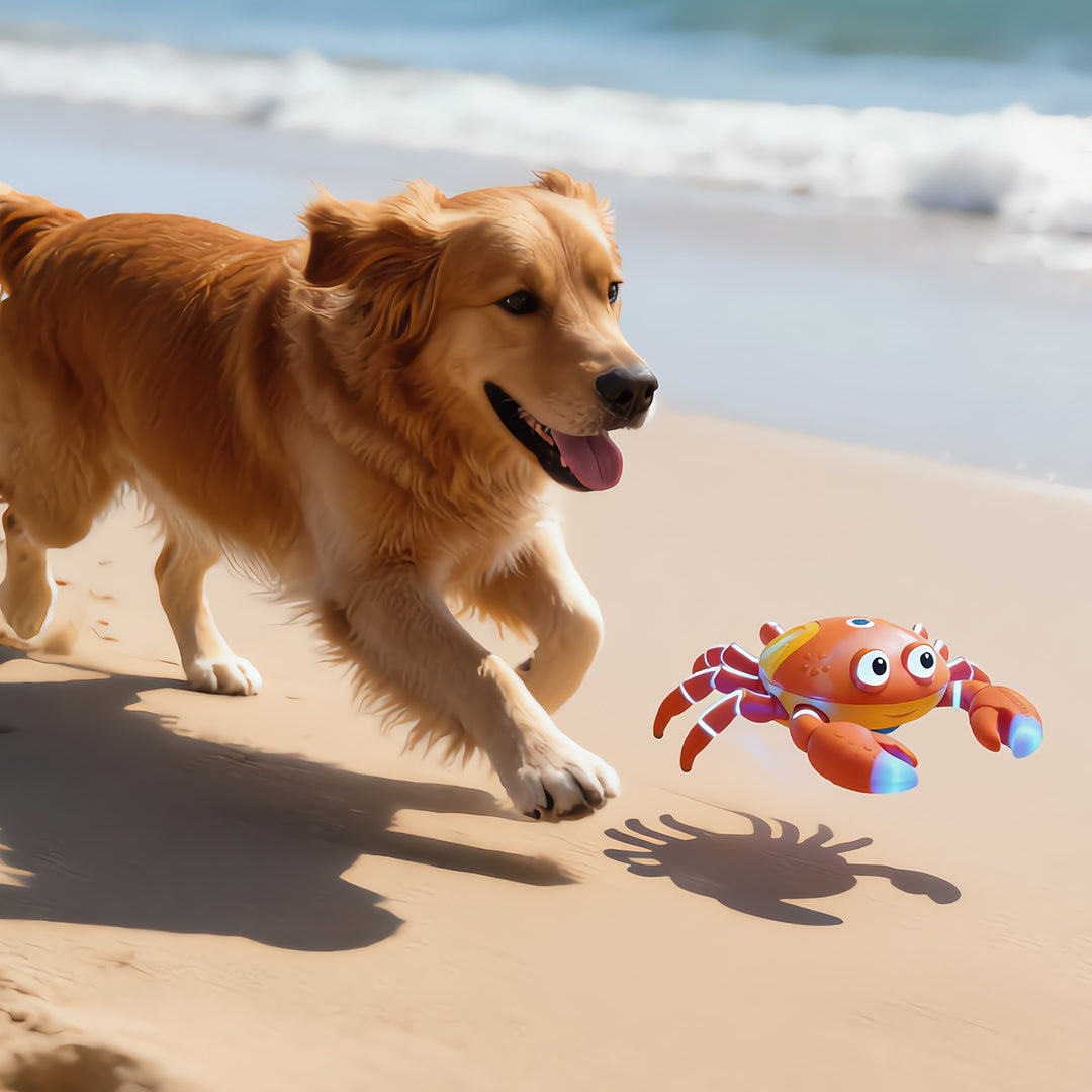 Island Scuttling Crab Interactive Toy