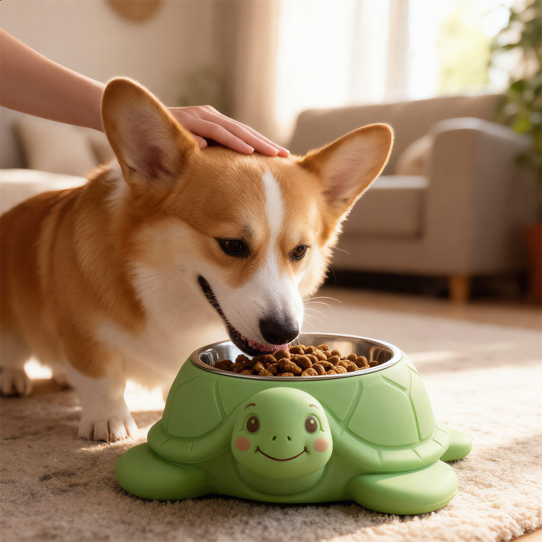 Turtle Tidbits Feeder Bowl