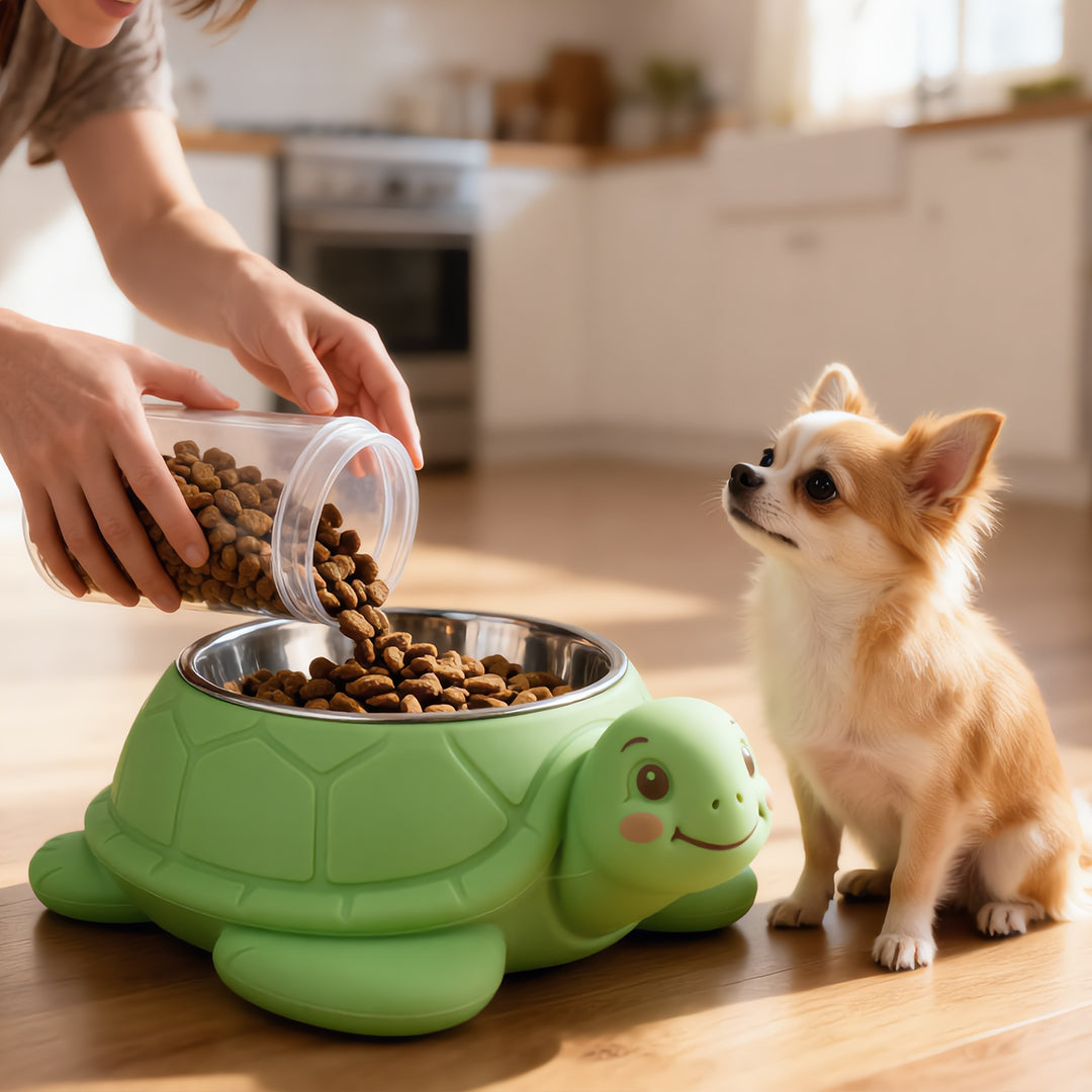 Turtle Tidbits Feeder Bowl