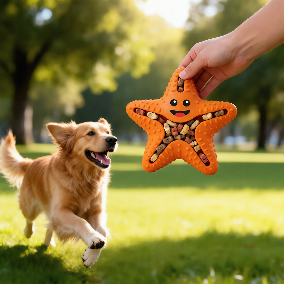Starfish Snack Seeker