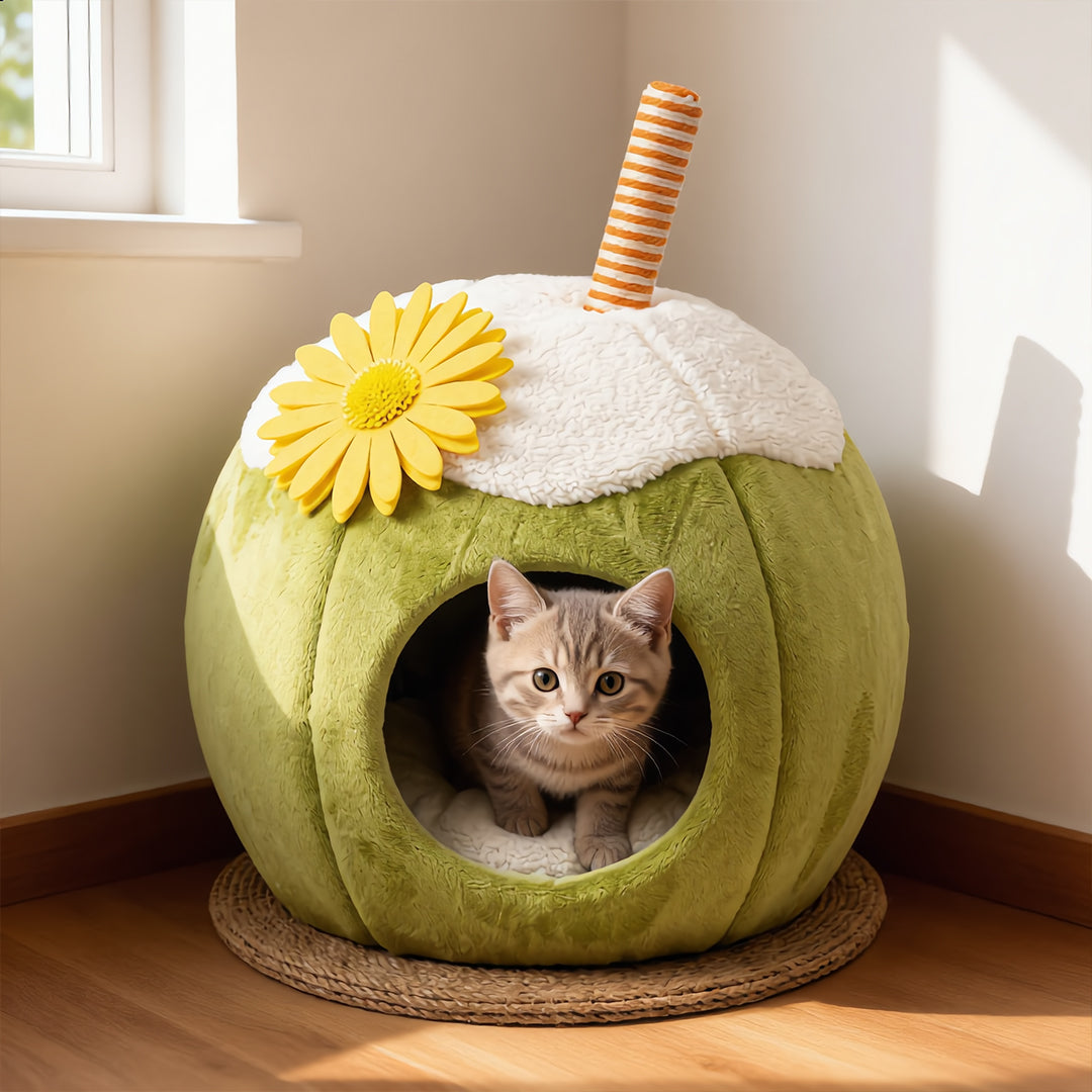Coconut Shell Pet Cave